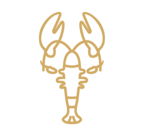 wl_icon